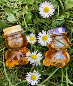 Miś z miodem wielokwiatowym 30 ml