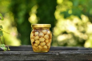 Miód z orzechami laskowymi